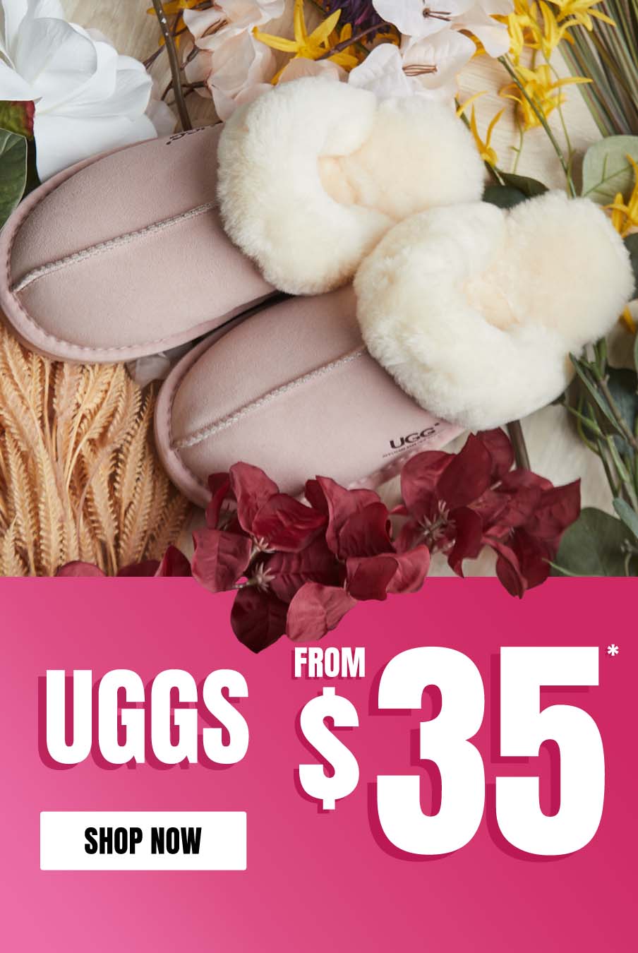 Shop Uggs Now!